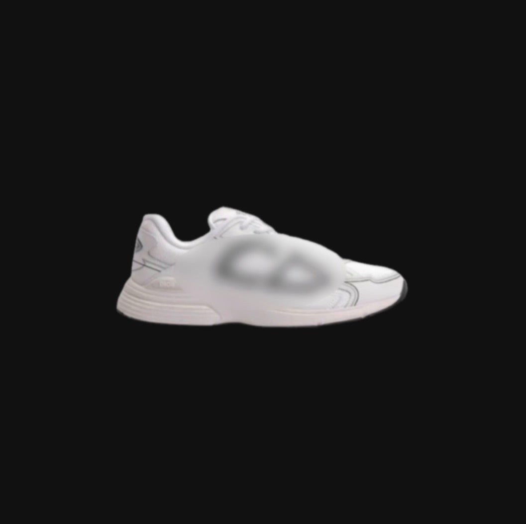 dior b30s